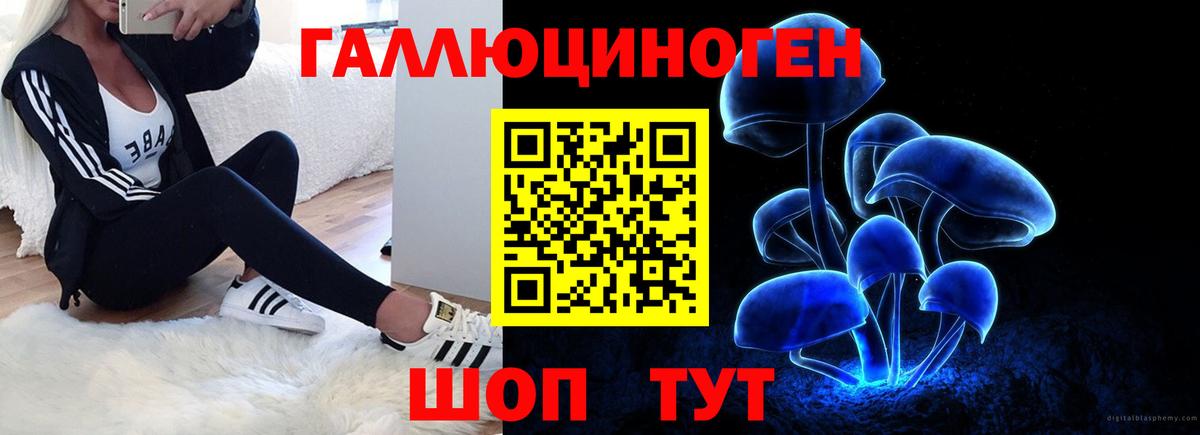 Псилоцибиновые грибы Cubensis Апшеронск